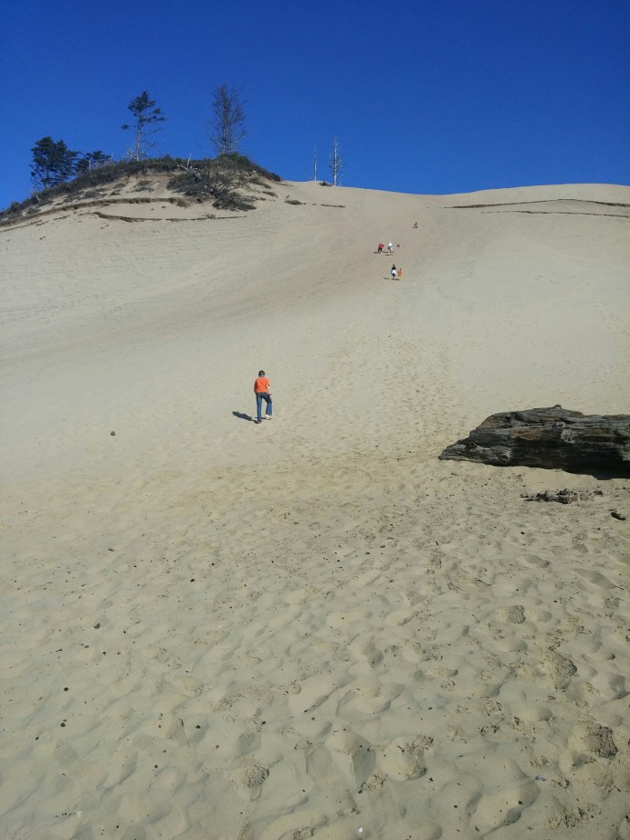 wp-1439947297482 image