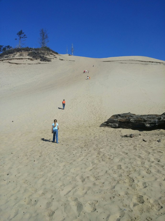 wp-1439947310007 image