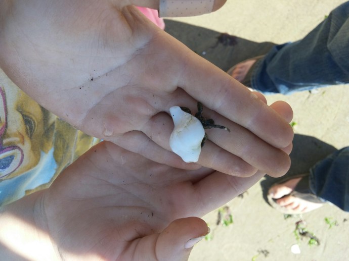 wp-1439947518800 image